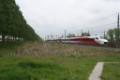 Levering eerste V250 bij Breukelen (Foto: Ad Vijge)