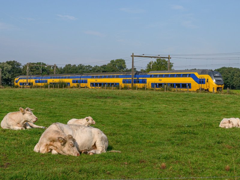 Vanwege een spoorverzakking bij Culemborg rijden de treinen bij Culemborg tijdelijk met gematigde snelheid. (Foto: Rob Dammers)