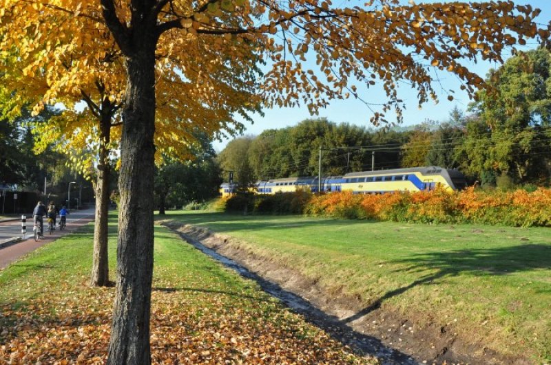 De NS zal vanaf september extra treinen inzetten vanwege de verwachte drukte. (Foto: NS)