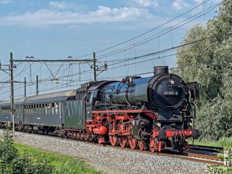 (Foto: Frans Berkelaar )