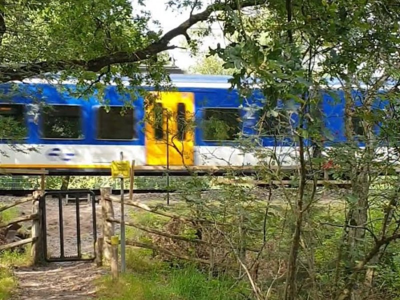 De onbeveiligde oversteek bij het Jonkheerpad in Oisterwijk wordt vanaf 20 december gesloten. (Foto: Treinenweb)