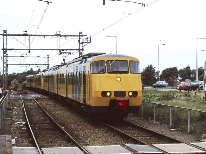 De SGM was met uiteindelijk 90 stuks een bekende verschijning op het spoor. (Rechten: Jan Oosterhuis)