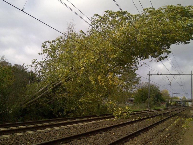 Een omgevallen boom op het spoor (Foto: NS)