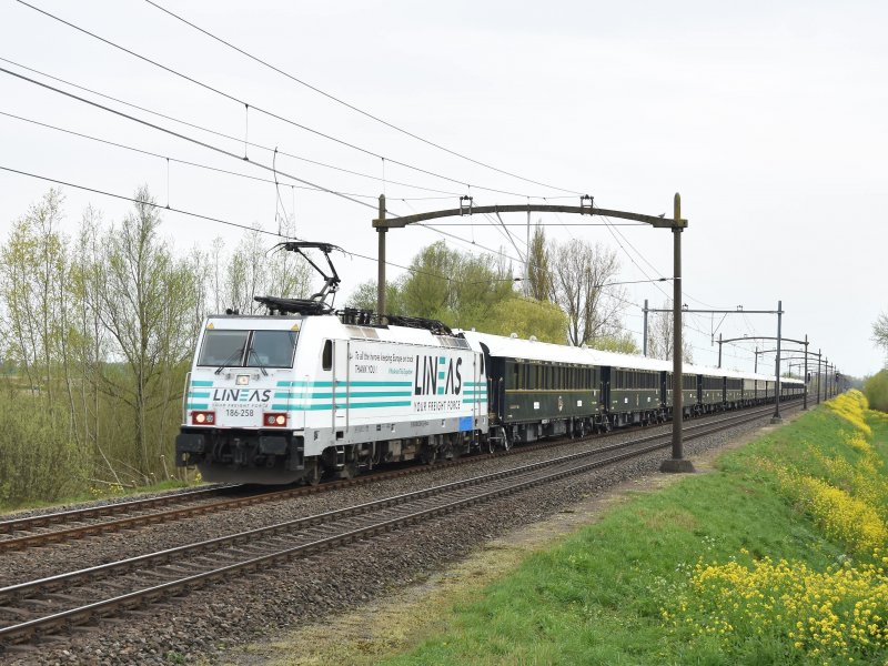 De trein die langs Willemsdorp rijdt. (Foto: Alex van Dijk)
