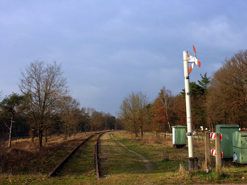 De verlaten spoorlijn tussen Nijmegen en Kleve (Foto: Roel Hemkes)