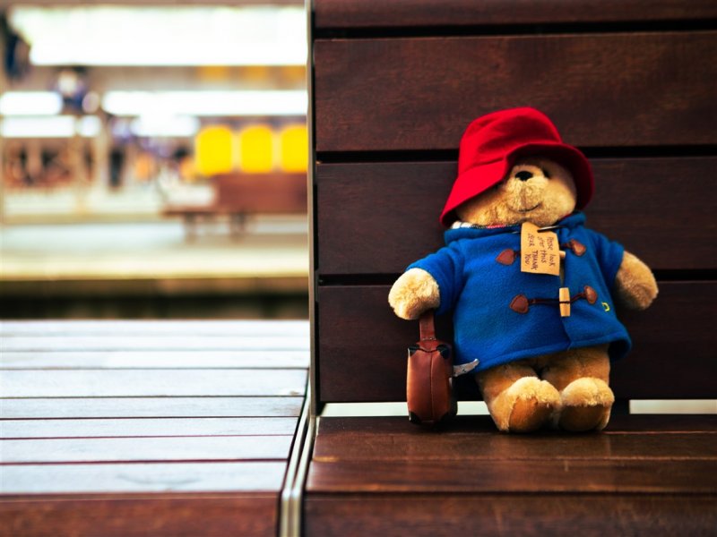 Beertje Paddington is op reis, maar is zijn eigenaar kwijt. (Foto: NS)