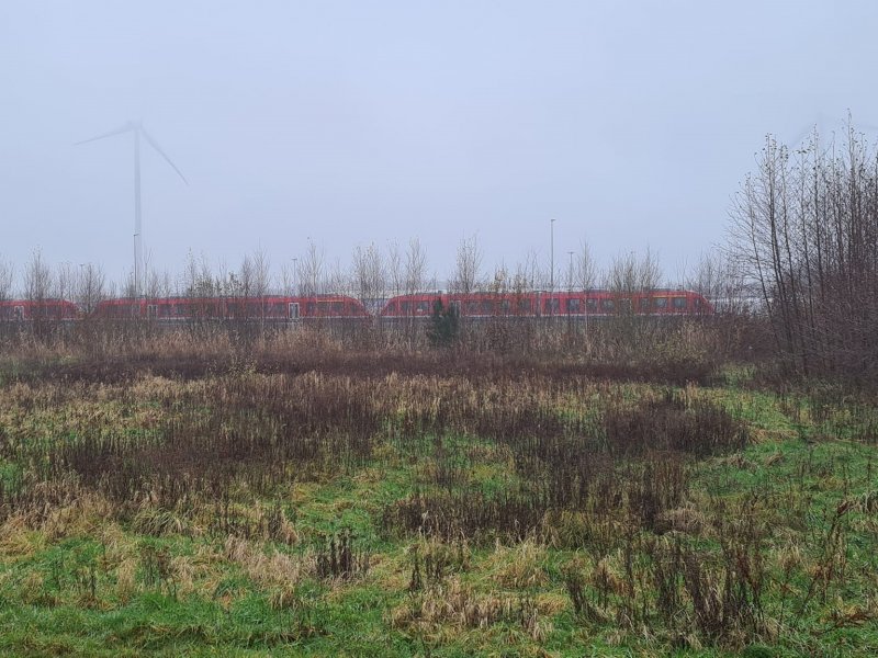 De extra LINT-treinstellen staan al geparkeerd in Coevorden. (Foto: Treinenweb)