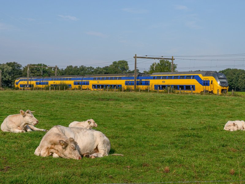 Rover: "Stel NS en ProRail onder verscherpt toezicht" - Treinenweb