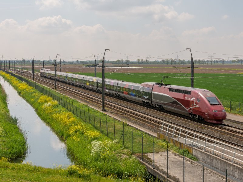 Het kabinet heeft 100 miljoen euro gereserveerd voor de eerste herstelwerkzaamheden op de HSL bij Rijpwetering. (Foto: Rob Dammers / CC BY 2.0)
