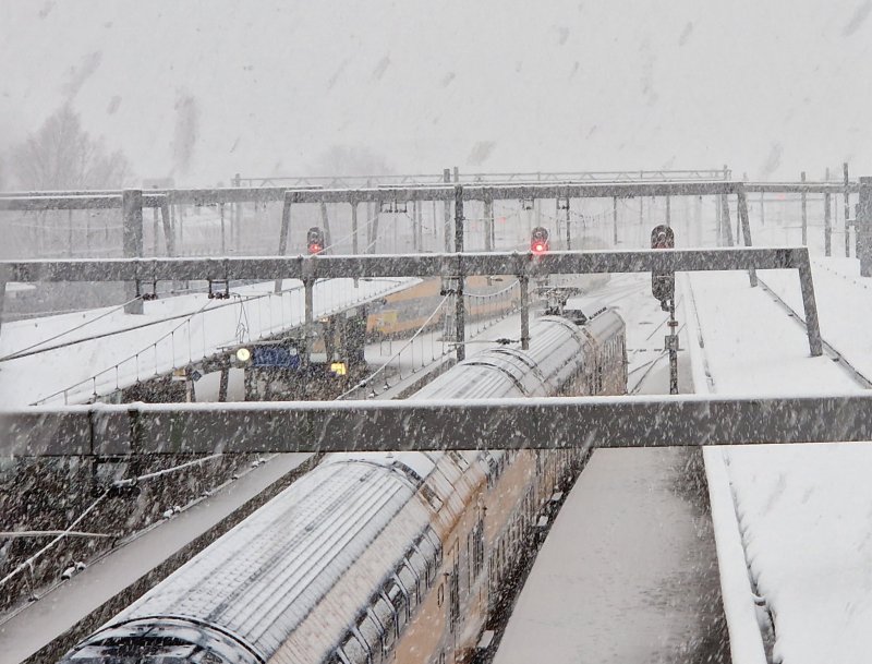 Het winterweer hield het OV van Nederland stevig in zijn greep. (Foto: Treinenweb/Clayweb)