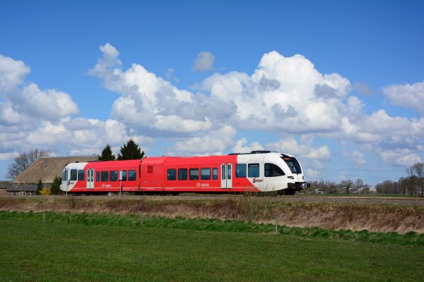 Langs de spoorlijn bij Winterwijk is dinsdagochtend een dode wolf aangetroffen die vermoedelijk door een trein is aangereden. (Foto: Jan Derk Remmers)