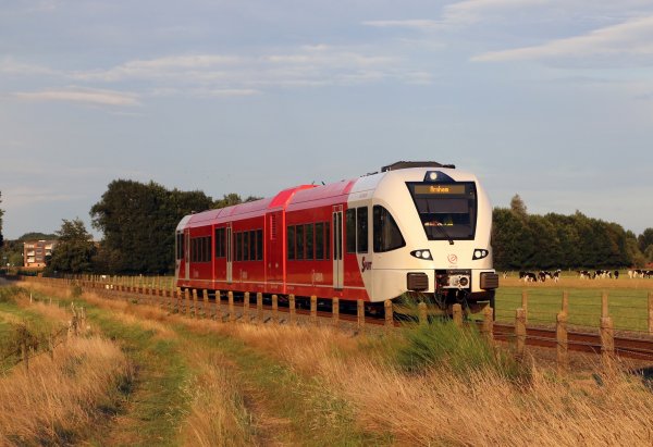 Vanwege een staking rijden er geen treinen in de Achterhoek en in de regio Rivierenland. (Foto: Roel Hemkes)