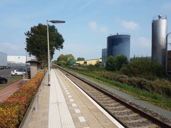 Terugblik op Achter de Hoven